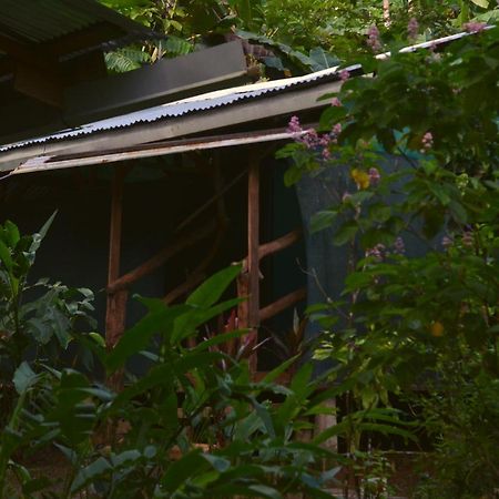 Corcovado Guide House Hotel Barrigones Luaran gambar