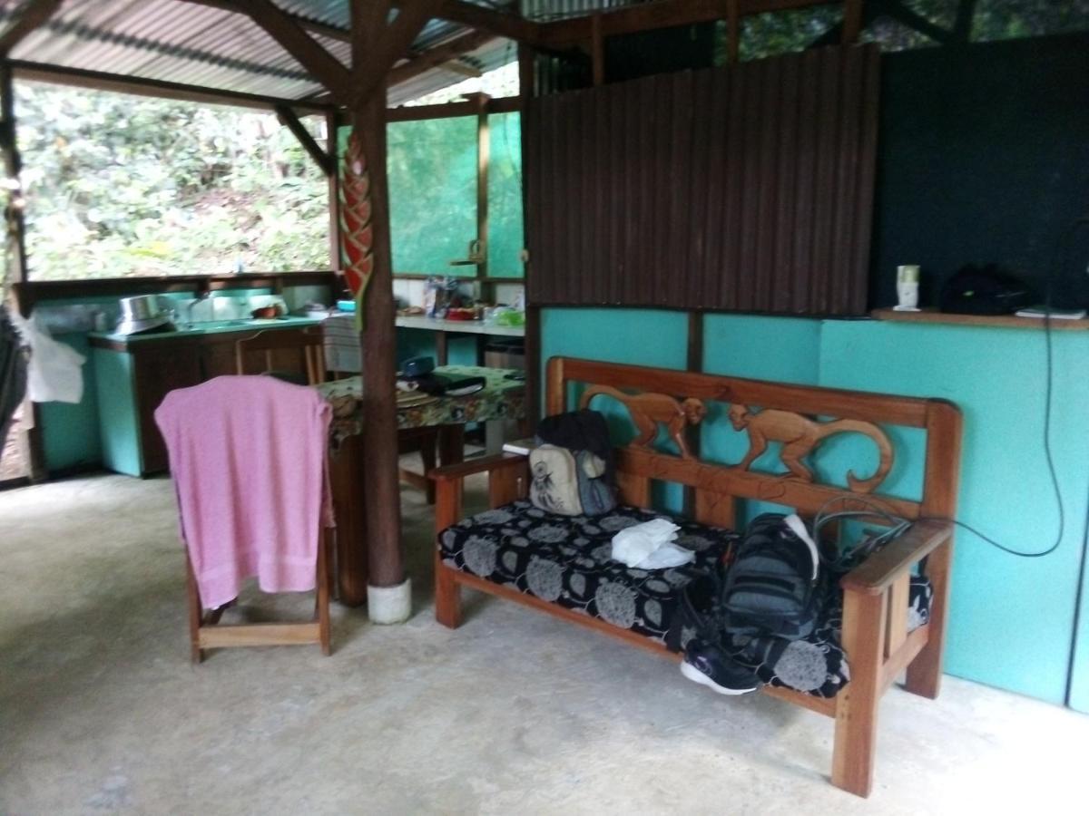 Corcovado Guide House Hotel Barrigones Luaran gambar