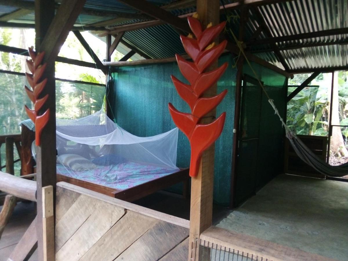 Corcovado Guide House Hotel Barrigones Luaran gambar