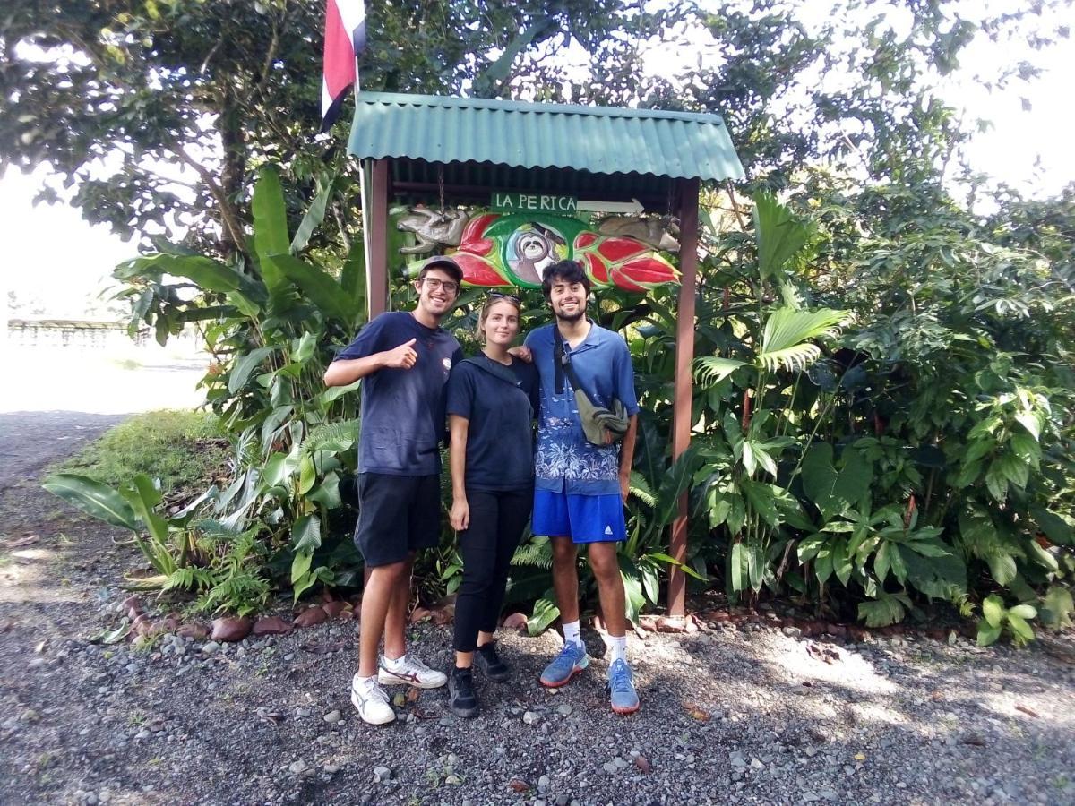 Corcovado Guide House Hotel Barrigones Luaran gambar