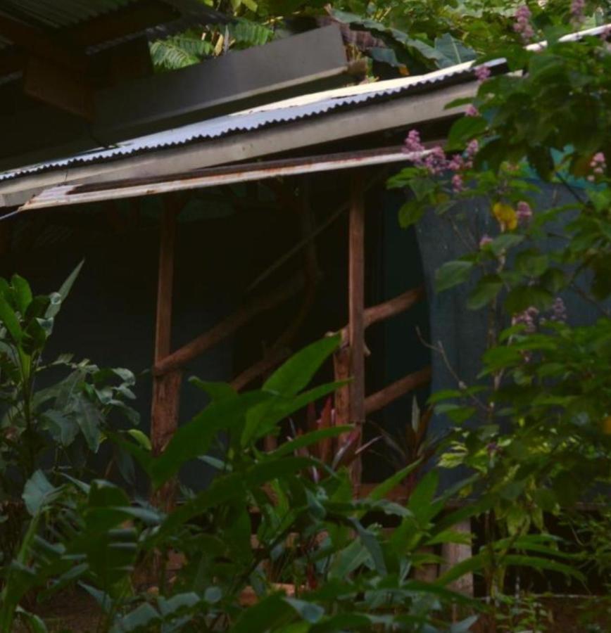 Corcovado Guide House Hotel Barrigones Luaran gambar